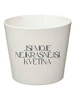 JSI MOJE NEJKRÁSNĚJŠÍ KVĚTINA - malý květináč