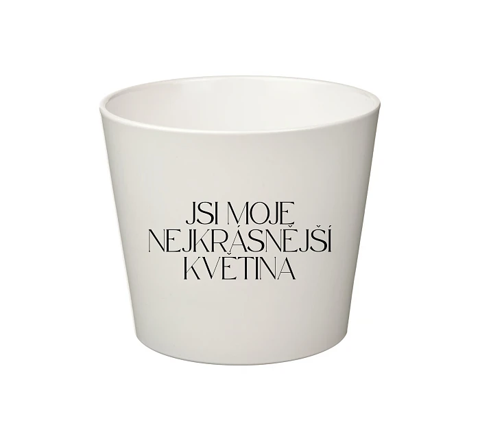 JSI MOJE NEJKRÁSNĚJŠÍ KVĚTINA - malý květináč
