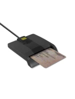 | | USB C model 21861551