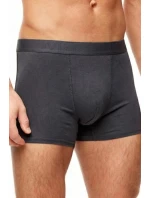 PÁNSKÉ BOXERKY model 21948614 - Noviti