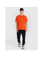 Pánské tričko oversize s potiskem model 21436916 pánské - 4F