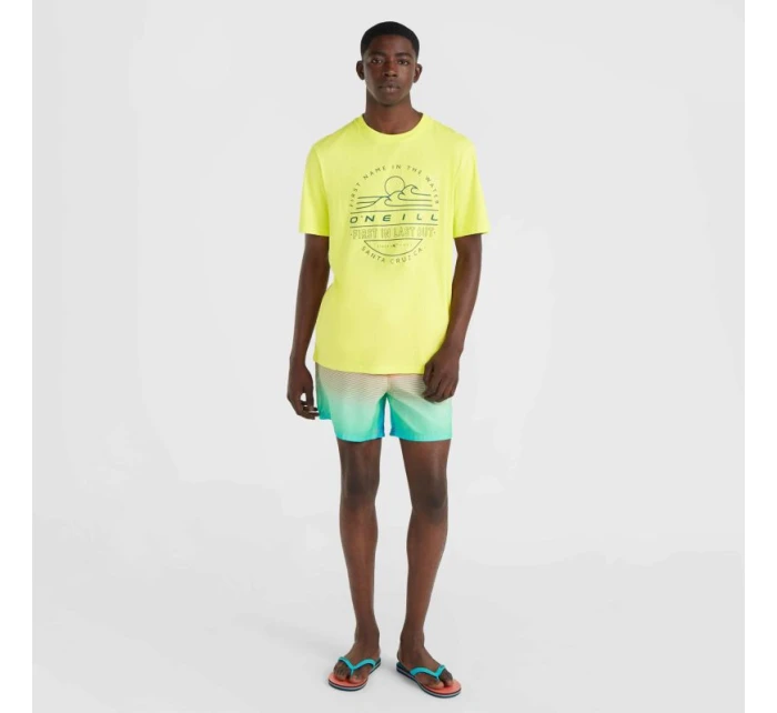 O'Neill Jack Cali Gradient 15'' plavecké šortky M 92800613575