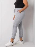 Tepláky RV DR 6300.19 sivá