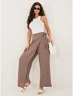 Spodnie CS SP model 22109846 brązowy - FPrice