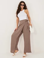 Nohavice CS SP XYS3376.96 hnedé