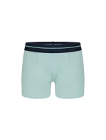 Donella Chlapčenské boxerky 8071PD4
