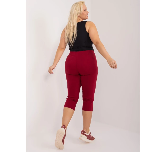 Spodnie AT SP model 19658687 bordowy - FPrice Spodnie AT SP model 19658687 bordowy - FPrice