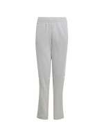 Kalhoty Squadra 25 Sweat Jr model 21034744 - ADIDAS