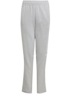 Kalhoty Squadra 25 Sweat Jr model 21034744 - ADIDAS