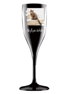 Personalizovaná nerozbitná prosecco sklenice - fotografie s mazlíčkem