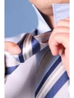 model 16110337 - VIP