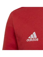 Detská mikina Entrada 22 Sweat Jr H57473 - Adidas