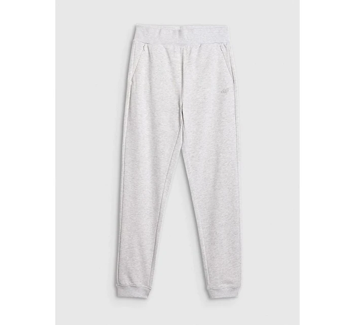Dámske tepláky jogger 4F 4FRMM00TTROF1843-27M women's