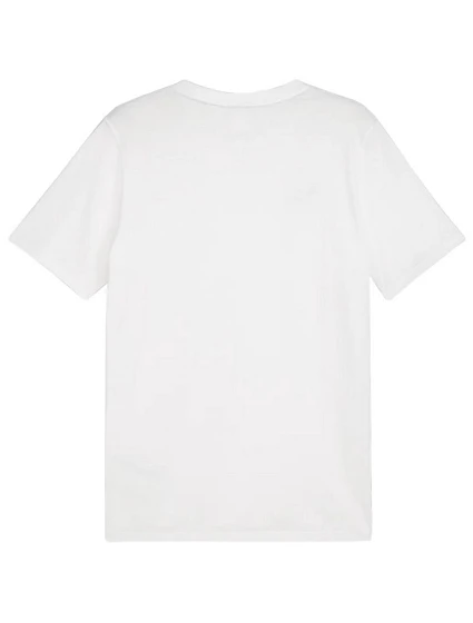 Team Goal Casuals Tee M model 21054529 04 pánské - Puma Team Goal Casuals Tee M model 21054529 04 pánské - Puma