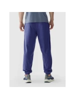 Teplákové kalhoty M model 21426061 - 4F Teplákové kalhoty M model 21426061 - 4F