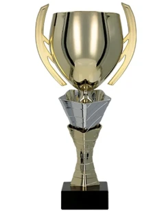 Zlatý a strieborný kovový pohár