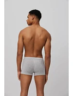 boxerky model 22085383 S2XL - Ysabel Mora