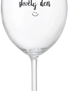 DNES BUDE SKVĚLÝ DEN - čirá sklenice na víno 350 ml
