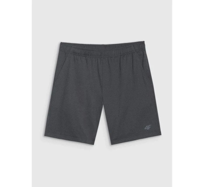 Pánske rýchloschnúce tréningové šortky 4F 4FWMM00TFSHM1310-22M
