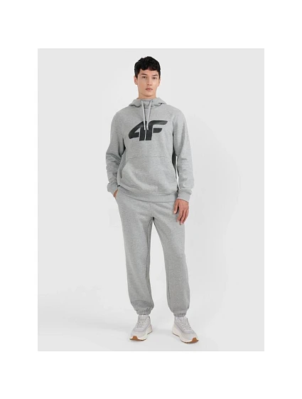 Pánske tepláky typu jogger 4F 4FRMM00TTROM1625-27M
