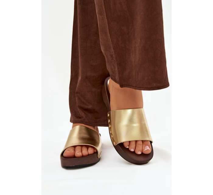 Dámské žabky se zlatými sponkami Terissa