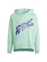 D Hoody Jr Mikina model 20898355 - ADIDAS D Hoody Jr Mikina model 20898355 - ADIDAS
