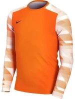 Detská brankárska mikina Dry Park IV JSY LS JR CJ6072-819 - Nike