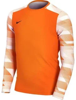 Dětská brankářská mikina Dry Park IV JSY LS JR model 15982068 - NIKE