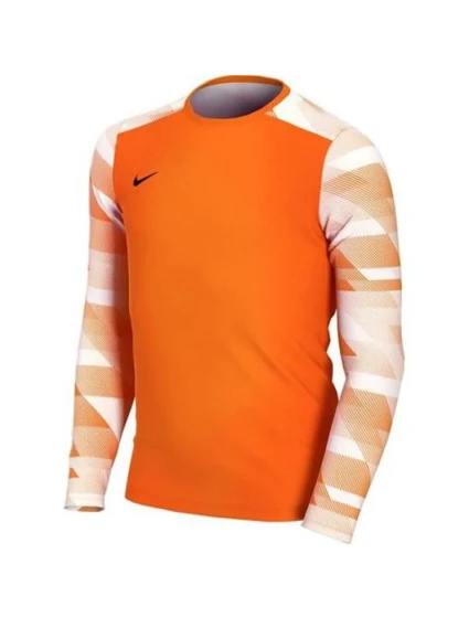 Dětská brankářská mikina Dry Park IV JSY LS JR model 15982068 - NIKE