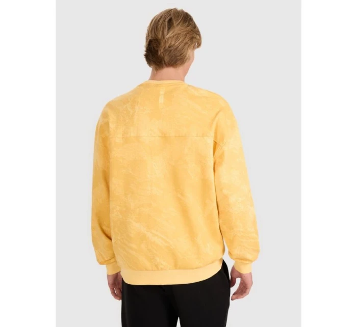 Pánská mikina s kapucí bez  model 21730414 - 4F