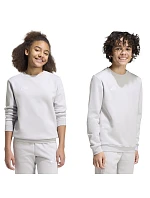 Adidas Detské tričko Entrada 26 Sweat Top grey JZ6551