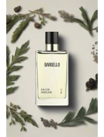 Pánské parfém s  s a 50 ml model 21865236 - K-Fashion