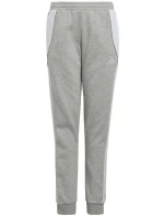 Nohavice adidas Tiro 24 Sweat Jr IS1009