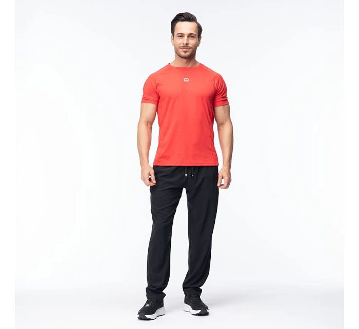 Pánské tričko model 22098410 s krátkým rukávem - IQ