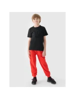 Chlapecké tričko s potiskem Junior model 21431787 - 4F