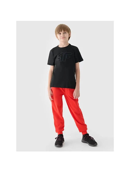 Chlapecké tričko s potiskem Junior model 21431787 - 4F