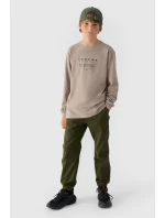 Tričko S  Pro S Regular  Šedé model 21673402 - 4F