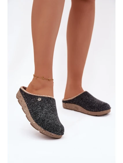 Domácí Obuv Dámské Papuče Inblu ED000031 Šedé