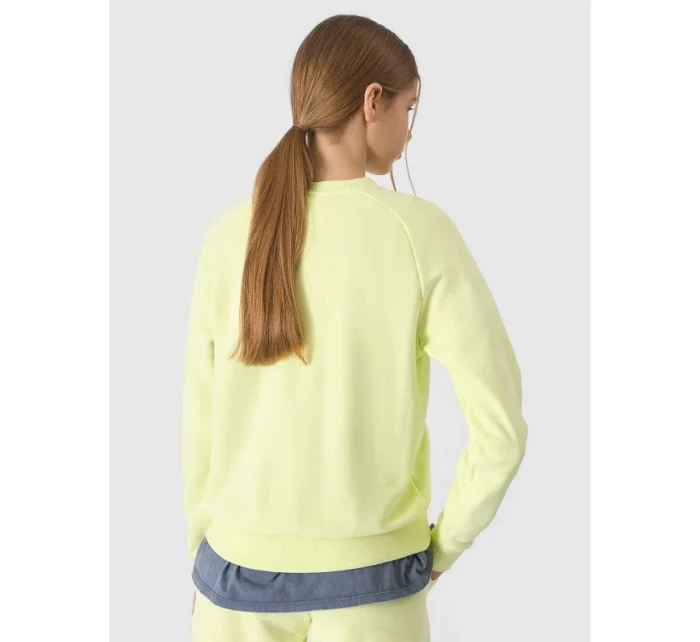 Mikina Jr model 19912489 - 4F