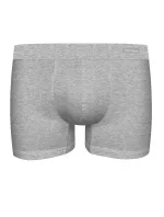 Pánske boxerky JOHN FRANK JF3BPB-H100