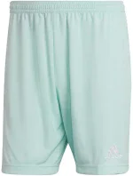 Pánske šortky Entrada 22 M HC5051 - Adidas