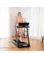 PÁS model 21818244 - HMS