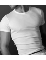 Pánské tričko model 20839734 - Atlantic