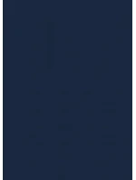 Pánske slipy Gatta Cotton Slip 41547 Pánske slipy Gatta Cotton Slip 41547