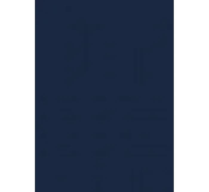 Pánske slipy Gatta Cotton Slip 41547 Pánske slipy Gatta Cotton Slip 41547