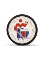 Polonia Bytom Old model 21871403 - Inny Polonia Bytom Old model 21871403 - Inny