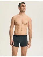 Henderson boxerky 44540 Lavička M-3XL