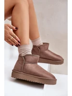 Dámské Sněhule Na Platformě model 21677079 Taupe - D.Franklin