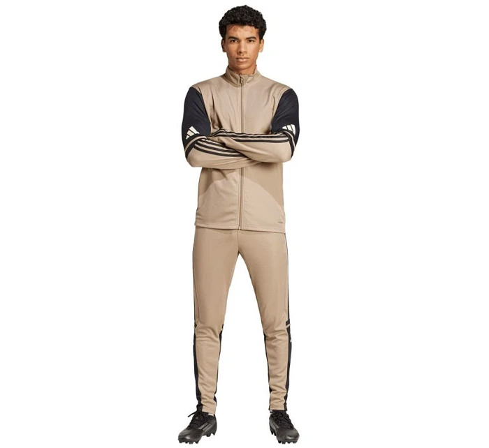 Nohavice adidas Squadra 25 Training M JP3374