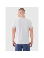 Pánské tričko 3  3PAK model 21437036 - 4F
